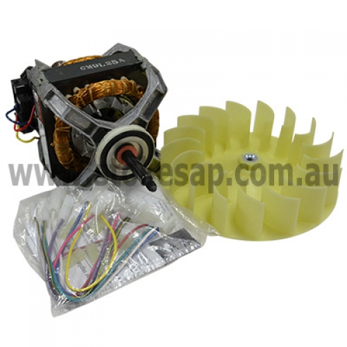 DRYER MOTOR AND PULLEY ASSEMBLY 240V